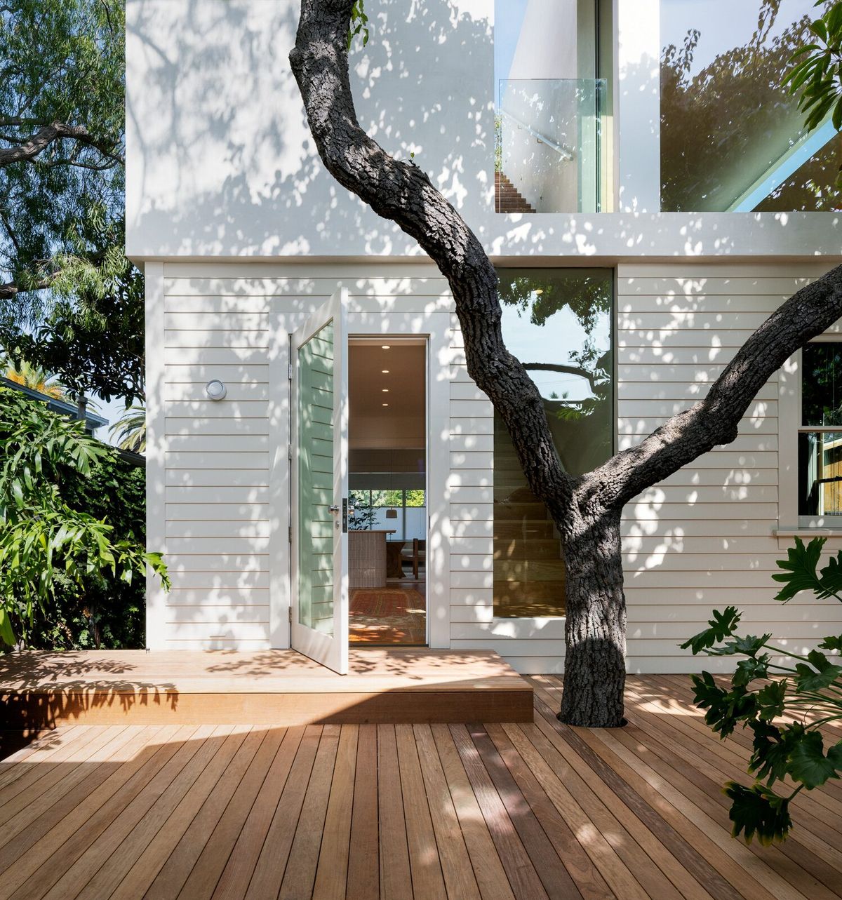 Altair: White-sided rear addition and wood deck built around a mature, twisting tree