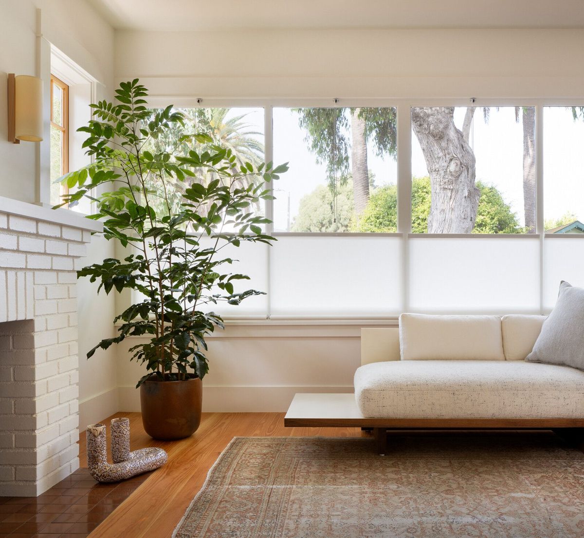 Altair: Sunlit living room with a low daybed and potted tree by the windows