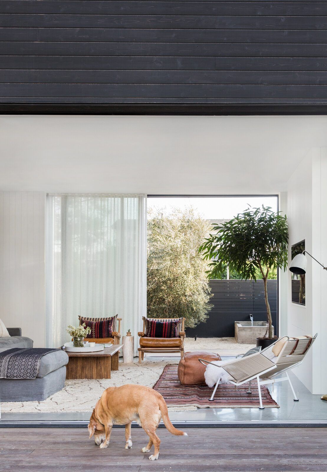Flower: Living room opening through sliding glass to the patio, a dog on the rug