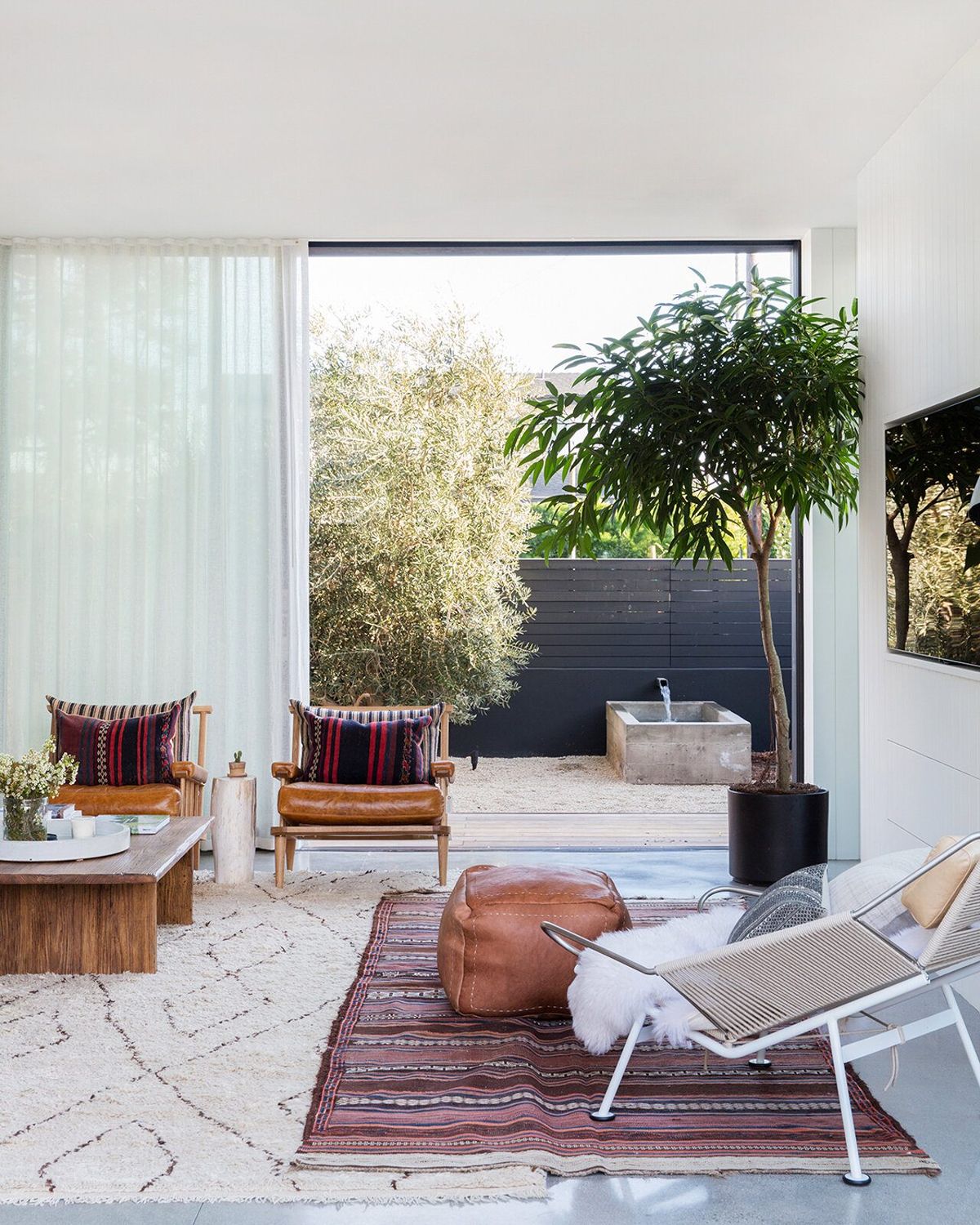 Flower: Living area with sheer curtains, potted trees and a Moroccan rug
