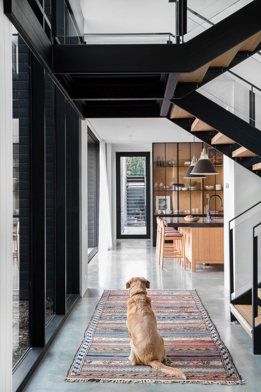 Flower: Steel stair and hall with a dog resting on a kilim runner