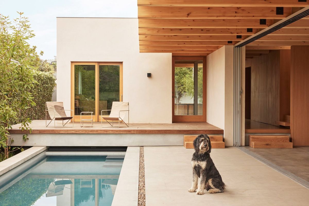Meier: Pool deck beneath exposed glulam beams, a dog seated by the water