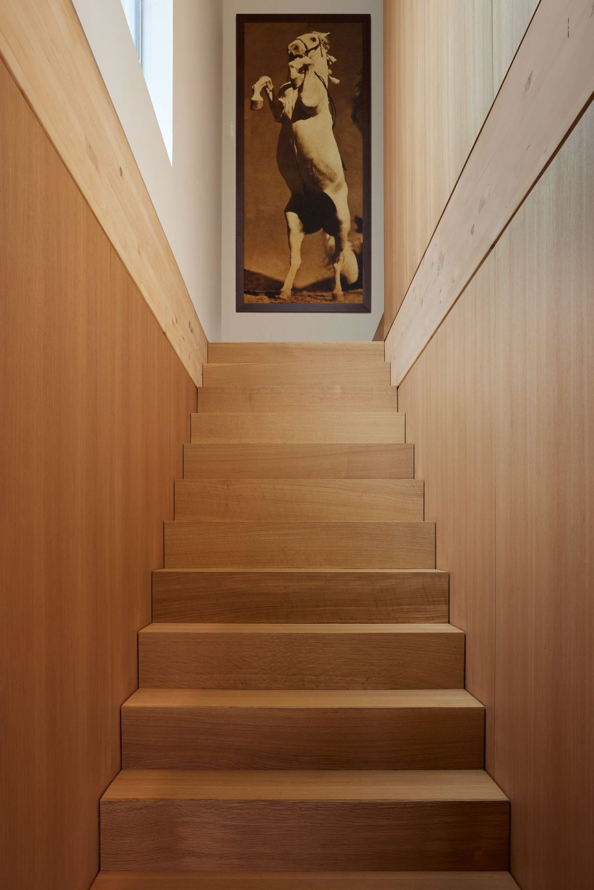 Meier: Wood-lined stair rising to a framed painting