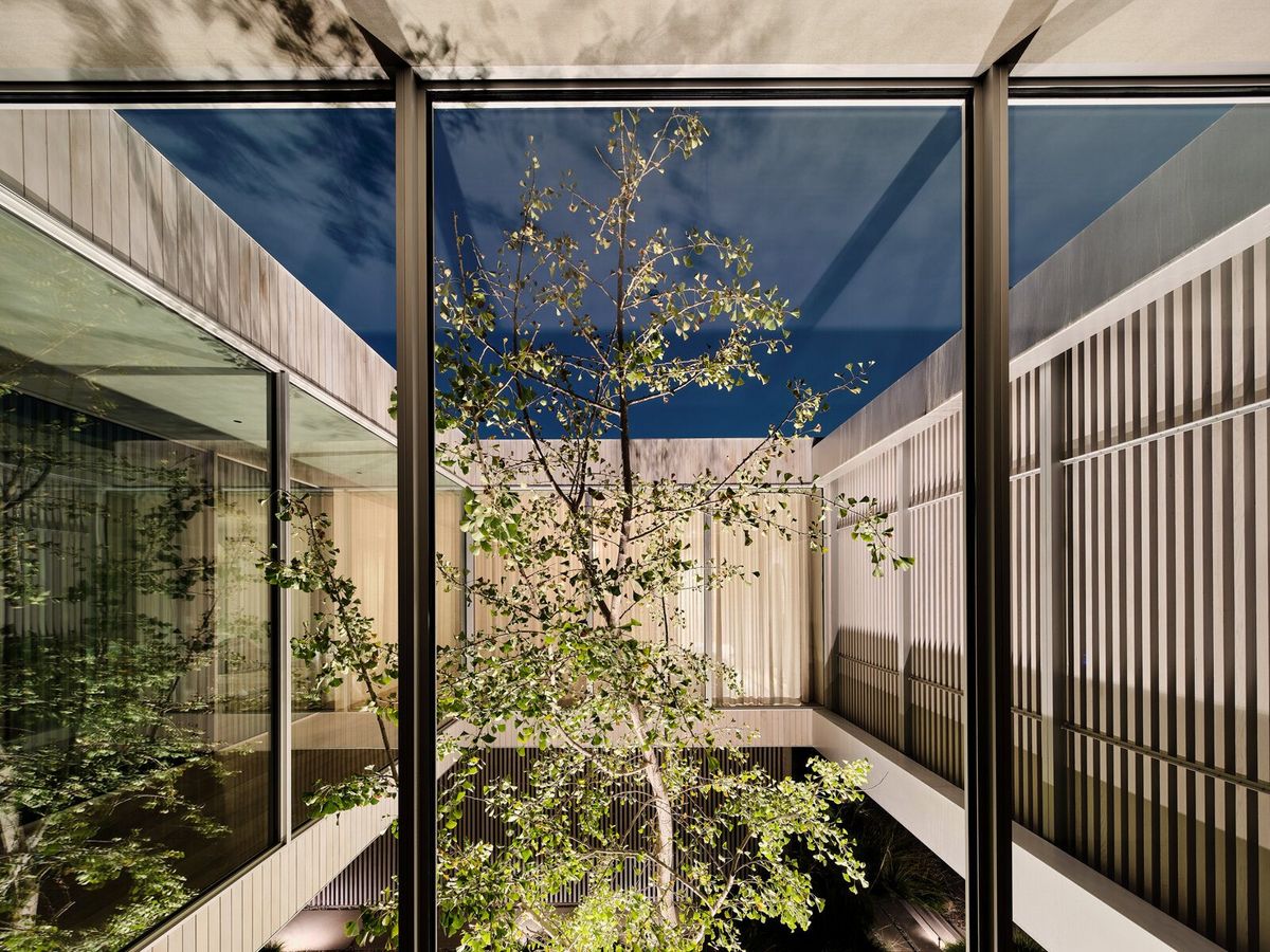 Modjeska: Glass-walled courtyard open to the sky with a tree