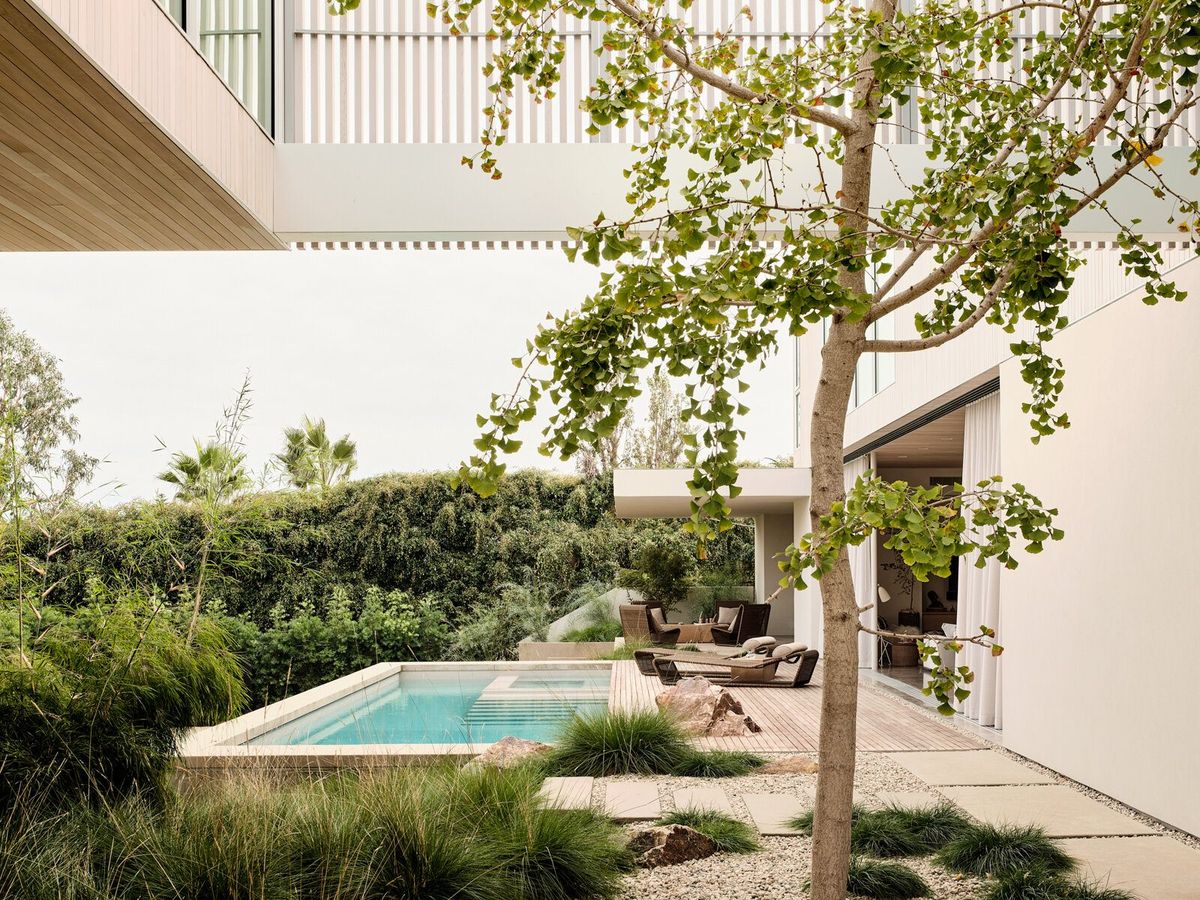 Modjeska: Courtyard pool and gingko tree framed by the house
